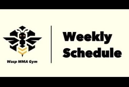 Wasp MMA Class Timetable