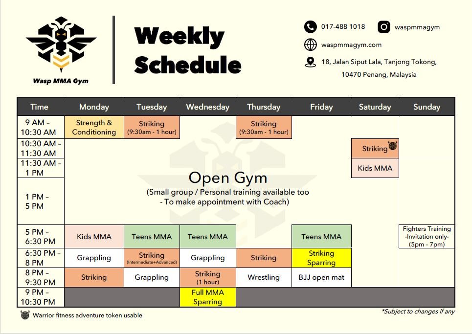 Wasp MMA Gym weekly class timetable, showing all class times and days